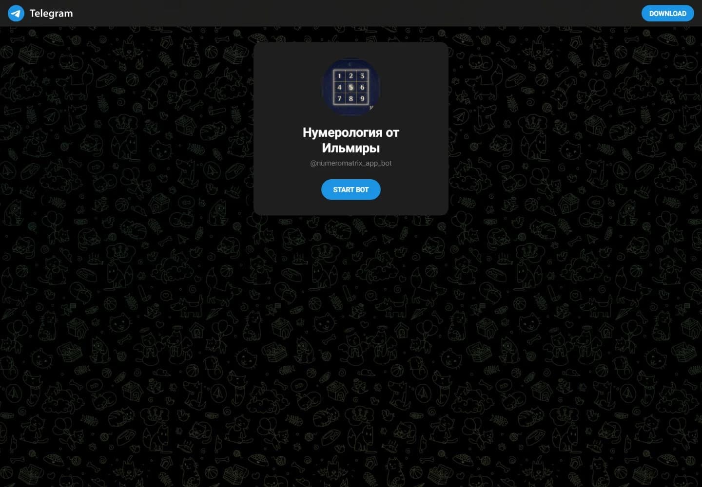 numeromatrix_app_bot Telegram-ботының ашық парақшасы